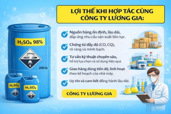 LỢI THẾ KHI HỢP TÁC CÙNG CÔNG TY LƯƠNG GIA: